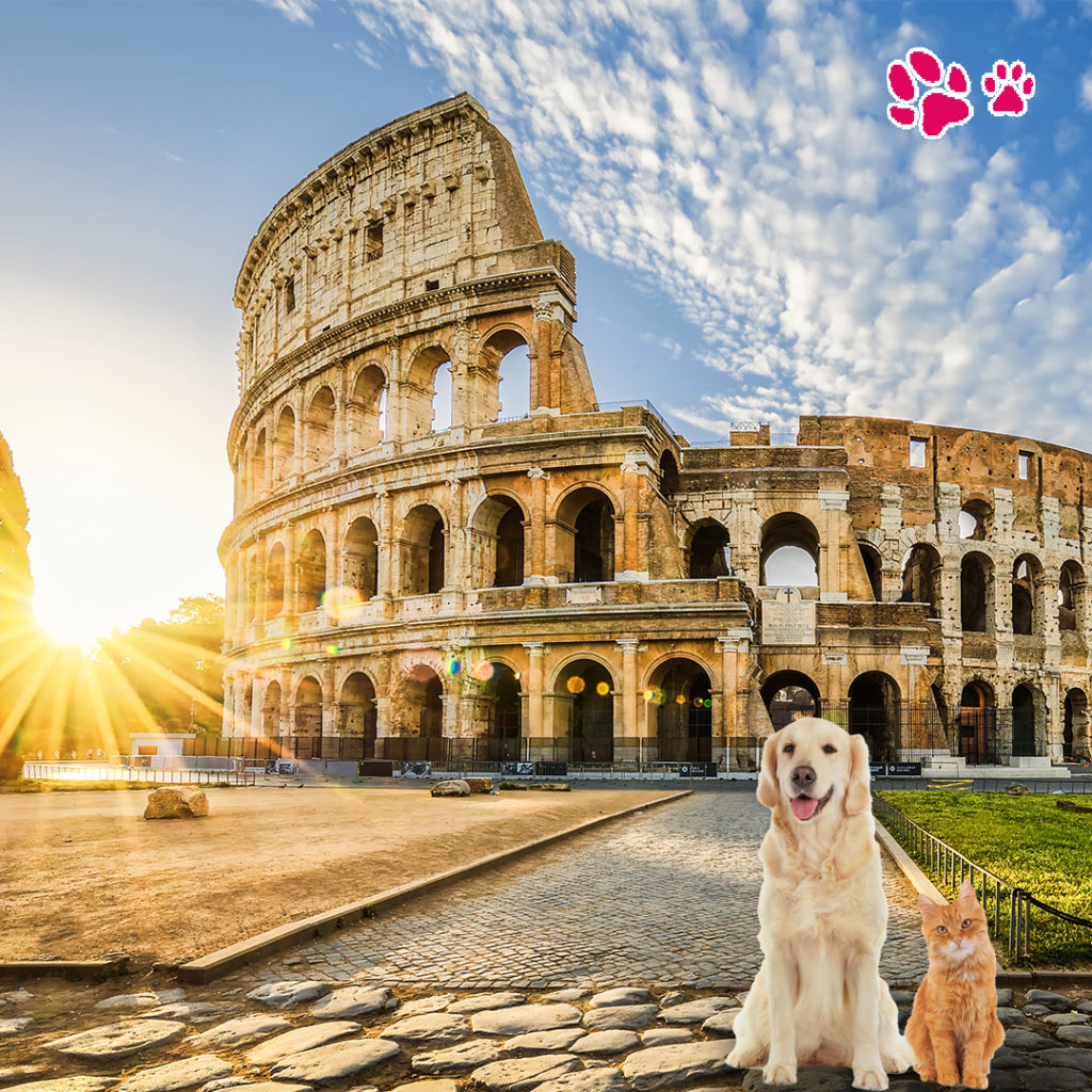 viaggiare con il cane